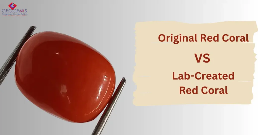 Original Vs Lab Created Red Coral Gemstone